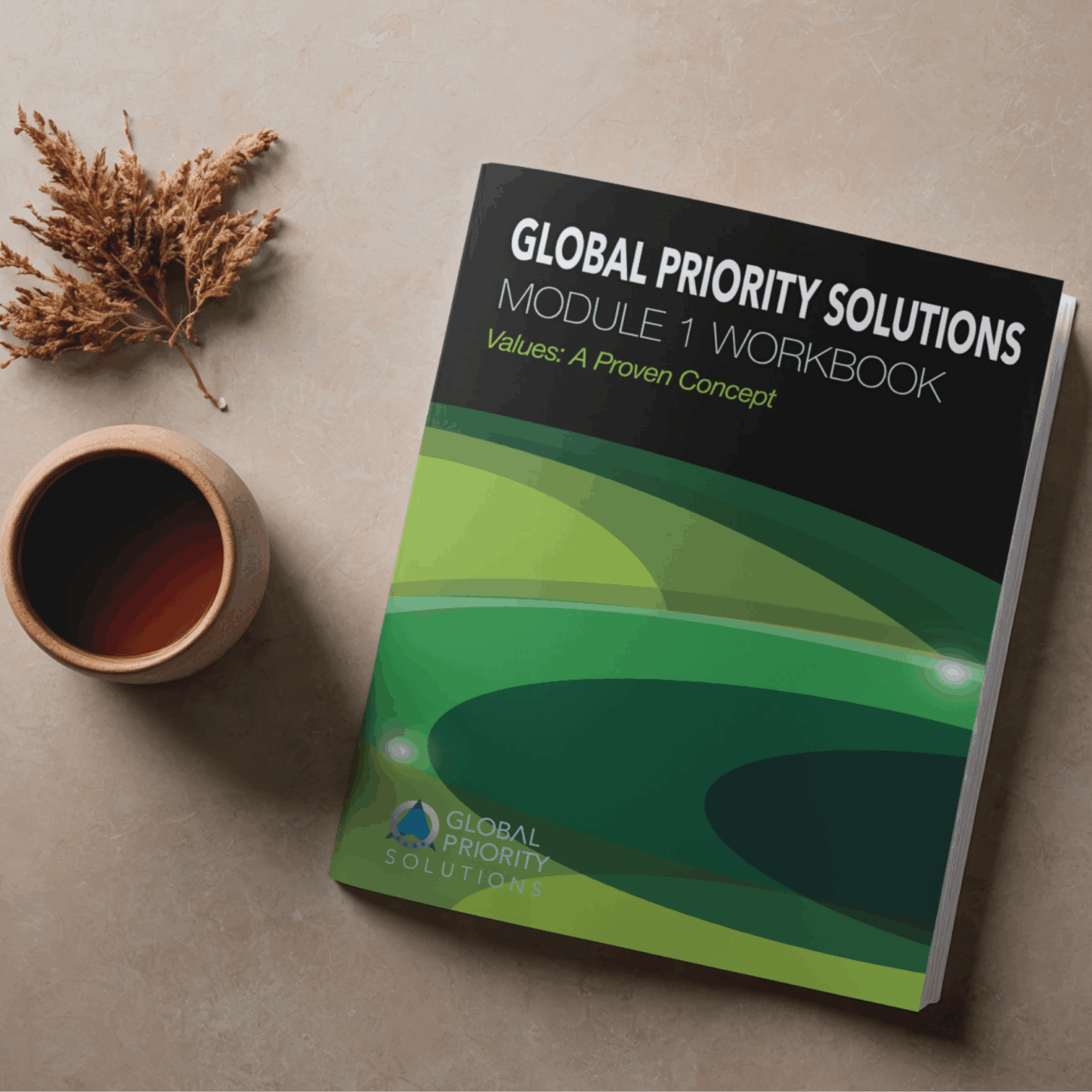 Module 1 Workbook 10 Values for Transformation Global Priority Solution