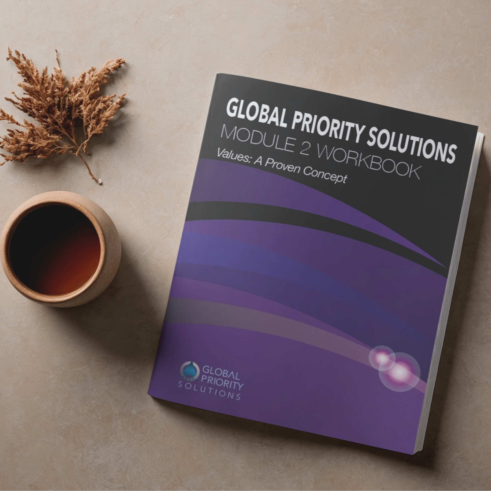 Module 2 Workbook - Image 2