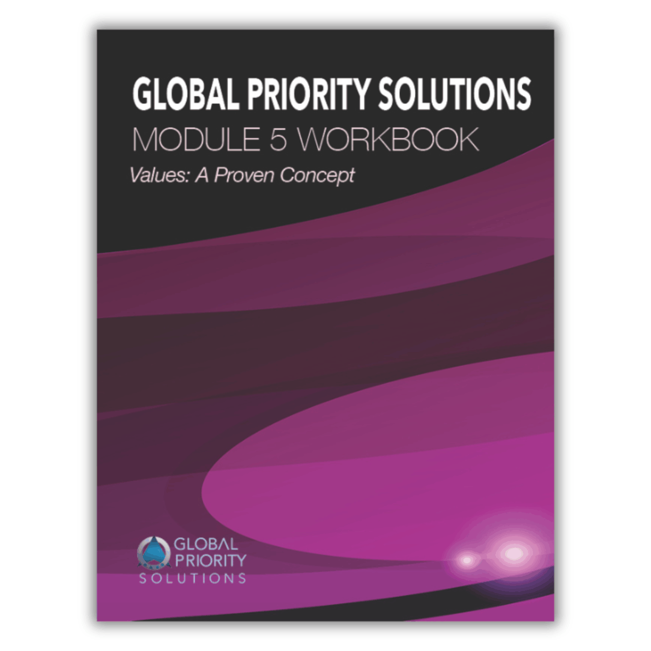 Module 5 Workbook | Global Priority Solutions