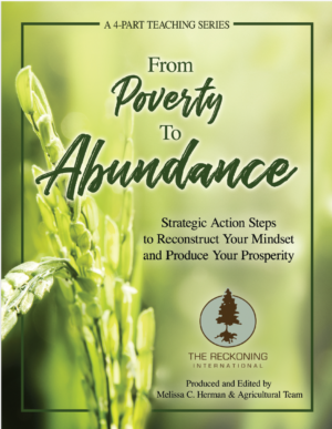 From Poverty to Abundance